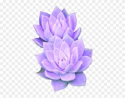 Unks coffee shop during daytime. Purple Aesthetic Tumblr Succulent Transparent Background Flower Stickers Transparent Hd Png Download 700x700 5909319 Pngfind