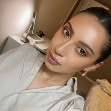 How to find a lost 15-year-old pet in Thornton, Colorado?