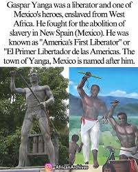 Image result for Bersama yangambiensis