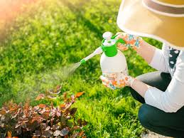 A high quality organic biopesticide that works well in high or low pressure spray we sell professional do it yourself pest control (diy), exterminator and extermination insecticide, pesticide. Vegetable Garden Pest Control