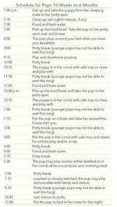 Puppy Potty Training Schedule Goldenacresdogs Com