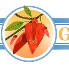 According to the dictionary music is vocal or instrumental sounds (or both) combined in such a way as to produce beauty of form, harmony, and expression of emotion. Dia De La Independencia El Doodle Con El Que Google Recuerda El 9 De Julio