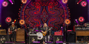 Gov't Mule