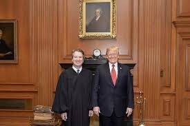 (click a picture above for excerpts or other books and debates by or about brett_kavanaugh). Brett Kavanaugh S Defense Of Voter Suppression Is Riddled With Errors
