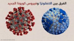 طريقة عمل معقم لليدين والأسطح وبدائل رخيصة ومتوفرة للكحول. Ù…Ø§ Ø§Ù„ÙØ±Ù‚ Ø¨ÙŠÙ† Ø£Ø¹Ø±Ø§Ø¶ Ø§Ù„Ø¥Ù†ÙÙ„ÙˆÙ†Ø²Ø§ ÙˆÙÙŠØ±ÙˆØ³ ÙƒÙˆØ±ÙˆÙ†Ø§ Ø§Ù„Ø¬Ø¯ÙŠØ¯ Ø£Ø®Ø¨Ø§Ø± Ø³ÙƒØ§ÙŠ Ù†ÙŠÙˆØ² Ø¹Ø±Ø¨ÙŠØ©