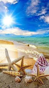 Summer Beach Sun Starfish Waves Mobile Wallpaper Summer Beach Wallpaper Beach Wallpaper Summer Wallpaper