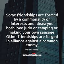 Common enemy effects are widely discussed in sociology, social psychology and political science. Some Friendships Are Formed By A Commonality Of Interests And Ideas You Idlehearts