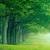 Full Size Full Screen Wallpaper Hd Download