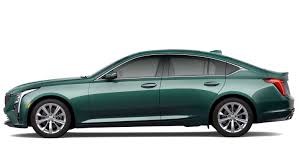 Image result for Dark Yellow Green 2025 Fleet