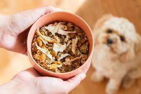 What can cats eat as well as dogs? What Parts Of A Turkey Can I Feed My Dog