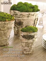 In this post i'll tell some history and basic information about the use of birch bark in finland. Woodland Spring Birch Pots Birch Bark Crafts Flower Pots