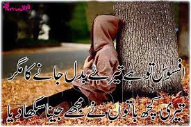 Maybe you would like to learn more about one of these? Pin On Shikwa Shayari