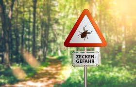Eine passive impfung gegen fsme ist seit 2003 in deutschland nicht mehr verfügbar. Grosse Fsme Impfaktion In Wien Einfache Sprache