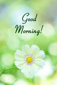 A friend like you deserves a day full of sunshine and warmth that is as bright as you are. Beautiful Good Morning Images For Love Good Morning Wishes Friends Good Morning Nature Good Morning Cards