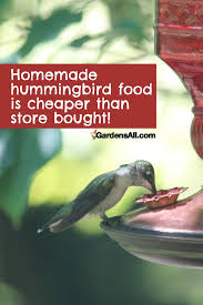 Hummingbird nectar recipe how to make hummingbird food. Hummingbird Food Recipe And Favorite Feeders Gardensall Birds