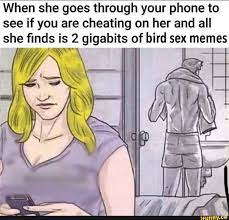 When she goes through your phone to see if you are cheating on her and all  she tes! is 2 gigabits of bird sex memes F - iFunny