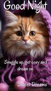 24 Campagnolo ideas in 2025