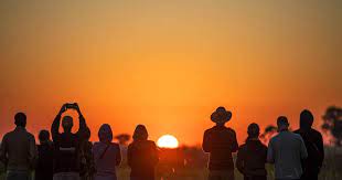So, here are some tips to finding the best safari operator, that best suits you and your trip. 10 Best African Safari Tour Operators 2021 Tourradar
