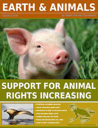 Example:the odds are stocked against us but we are determined to succeed. Earth Animals Magazine By Earth Animals Magazine Issuu