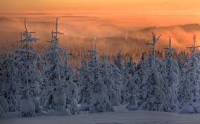Browse millions of popular snow wallpapers and ringtones on zedge and personalize your phone to suit you. Daily Wallpaper Winter Snow I Like To Waste My Time
