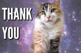 If you use one of the images on your website, please link to this page as the source. 51 Nice Thank You Memes With Cats Tons Of Thanks