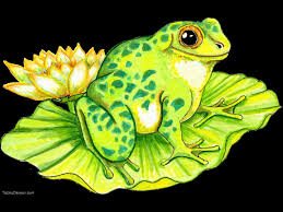 Lily Pad Clipart Cliparthut Free Clipart Frog Art Lily Pads Cartoon Sketches