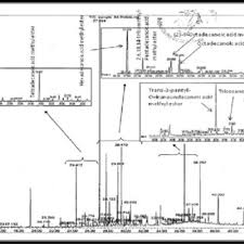 Image result for Anisotes sessiliflorus