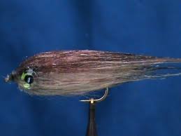 Beginner Fly Tying A Craft Fur Creek Chub With Jim Misiura Beginner Fly Tying Fly Tying Craft Fur