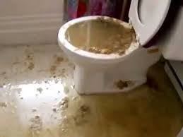 According to the insurance information institute (iii), common causes of sewer backups into a home may include:. Toilet Overflow Coverage Water Backup Issue Endorsement
