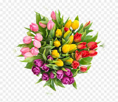 Auguri frasi compleanno auguri compleanno zio auguri compleanno divertente fare gli auguri di compleanno all'ex auguri di buon compleanno rita auguri in inglese compleanno auguri di. Tulip Bouquet Fiori Per Un Compleanno 18anni Clipart 1489513 Pikpng