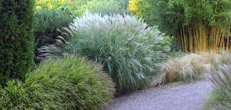 Pin Auf Gartenanlagen