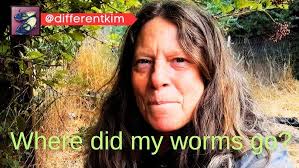 HUGE 15ft Backyard Waterfall