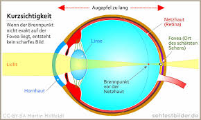 We did not find results for: Sehtest Zum Ausdrucken Sehtestbilder
