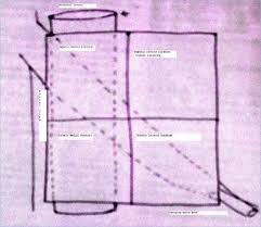 The following is a list of the organs in the four quadrants. Lateral Mass Quadrants And Anatomical Relations Of Neurovascular Structures Download Scientific Diagram