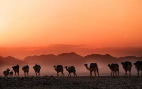 In the beginning of years, when the world was so new and all, and the animals were just beginning to work for man, there was a camel. Write Kubernetes Native Application Using Camel K Part 1 Dzone Cloud