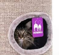 Scratching Barrel Cats: the ultimate play and resting place