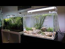Aquatic the rule of thirds refers exactly at how we can use imaginary guidelines so that we know how to place the typical setup for an iwagumi aquascape involves the use of three main stones. River Bottom Aquascape Tutorial Easy Aquascape Added To The Aquarium Gardens Showroom Youtube