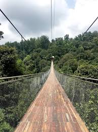 Halo, saya marcel (13507072) mw ngelaporin dari pt abacus indonesia. Suspension Bridge Situ Gunung Sukabumi Expedition Nusantara