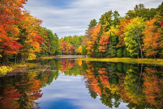 Fall Images – Browse 27,718,041 Stock Photos, Vectors, and Video | Adobe  Stock