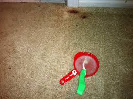 Remove Hair Dye Stains With Teaspoon Powder Tarter Dawn Dish Soap Toothbrush And Carpet Cleaning Pet Stains Carpet Cleaning By Hand Carpet Cleaning Company