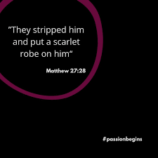 Jerome Li (@congthebaptist) • Instagram photos and videos