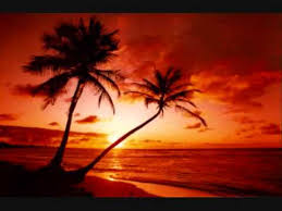 Suasana kampung identik dengan kesederhanaan dan struktur bangunan yang unik. Electric Light Orchestra Bluebird Youtube