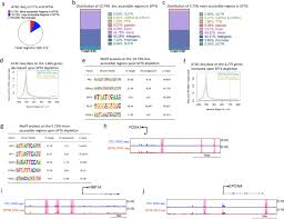 The tts™ cuff takes the profile of an uncuffed tube when deflated which is intended to minimize trauma when the tube is inserted. Spt6 Promotes Epidermal Differentiation And Blockade Of An Intestinal Like Phenotype Through Control Of Transcriptional Elongation Nature Communications