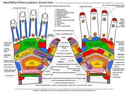 reflexology hand chart dorsal view hand reflexology