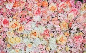 Download wallpaper 750x1334 black background, pattern, light. Download Wallpapers Floral Background Pink Roses Floral Pattern Roses Beautiful Flowers For Desktop Free Pictures For Desktop Free