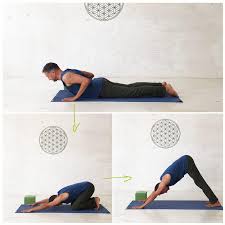 Aug 01, 2018 · du möchtest mit yoga beginnen, weißt du aber nicht, wie und wo du anfangen sollst? Yoga Sonnengruss Anleitung Fur Yoga Anfanger Pdf Zum Ausdrucken