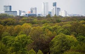 Le ministre allemand des affaires étrangères heiko maas lors d'une conférence de presse après une réunion de l'otan le 1er juin. Sleepless In Berlin Nightingales Flock To Scruffy City Parks