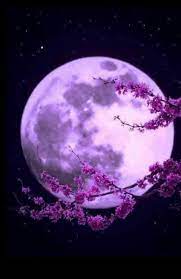 I never could picture myself spending a lifetime with someone until you came into my life, now i want to live the rest of my life with you. Abgeschlossen Hi Mein Name Ist Park Y N Bin 18 Jahre Alt Und Lebe Fanfiction Fan Fiction Amreading Books Wat In 2021 Beautiful Moon Moon Pictures Moon Art