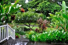 Tabu Tropical Paradise In Cairns Queensland Tropical Garden Design Tropical Landscaping Tropical Garden