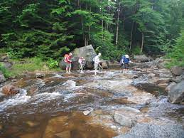 Dec 28, 2018 · the dolly sods wilderness is located on top of the allegheny plateau of west virginia, and is part of the monongahela national forest. Forks Of Red Creek Hike